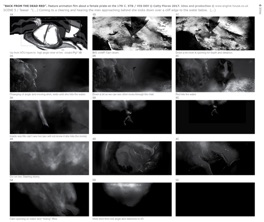 Boards and Key Visuals for "Back From the Dead Red". Feature 2D animation film about a female pirate set in 1750. Boards and Key Visuals for "Back From the Dead Red". Feature 2D animation film about a female pirate set in 1750.